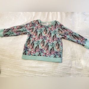 Posh peanut irina ballet slippers sweatshirt 5T